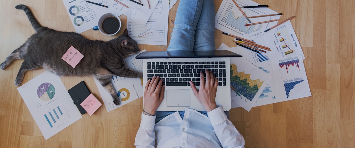 Homeoffice